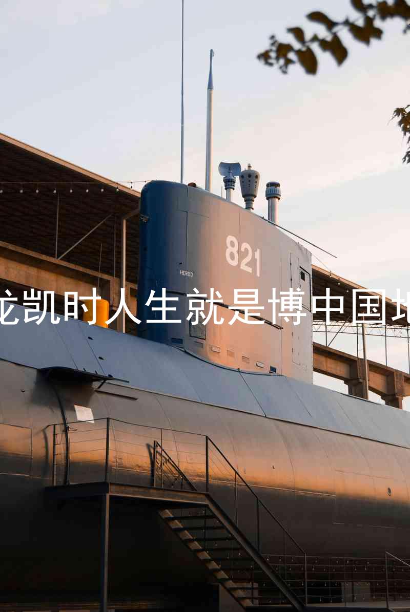 尊龙凯时人生就是博中国地区