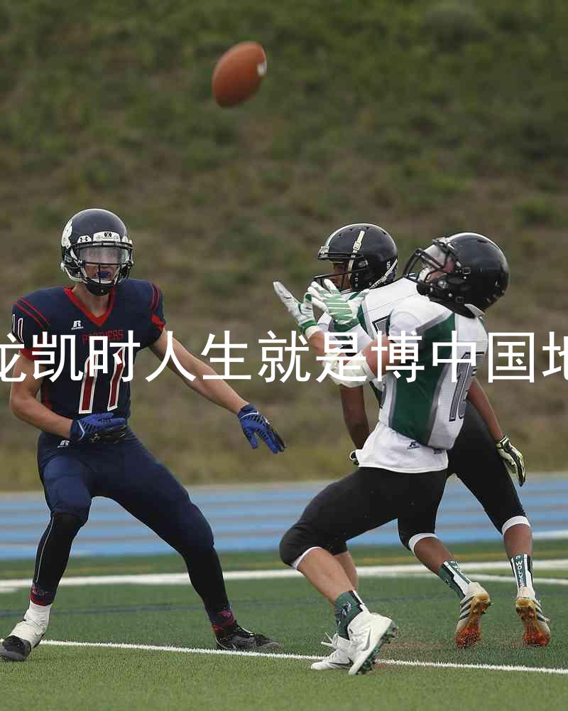 尊龙凯时人生就是博中国地区